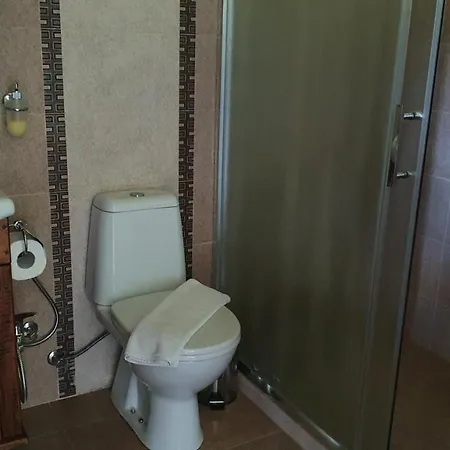 Holiday home Gostnici