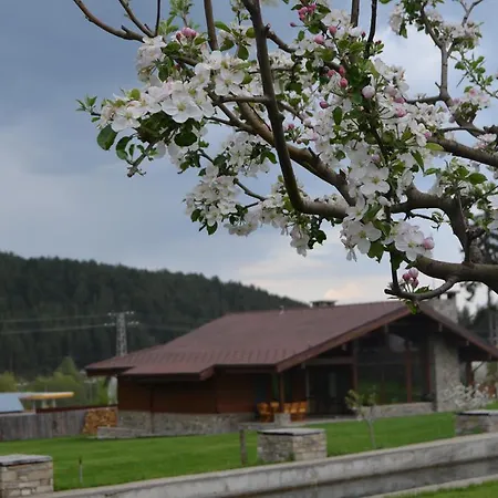 Case de vacanță Gostnici