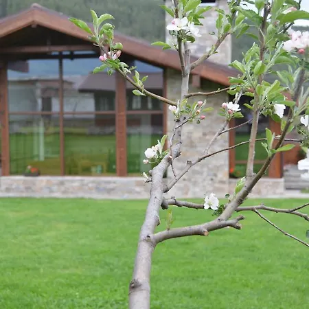 בית נופש Gostnici רזלוג