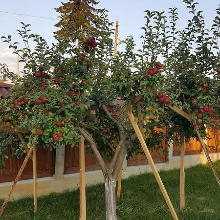 Case de vacanță Gostnici Razlog