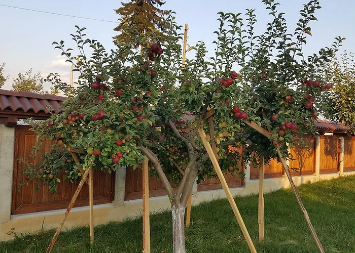 Ваканционна къща гостници Разлог